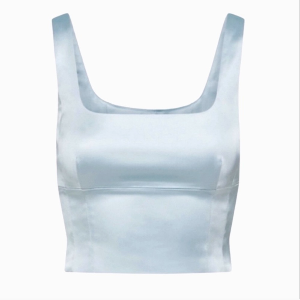 NWT Aritzia blue silk top